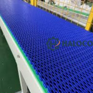 Băng tải nhựa chạy thẳng