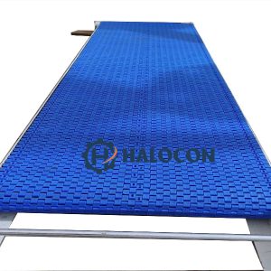 Băng tải nhựa chạy thẳng