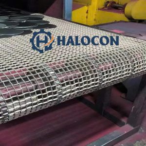 băng tải inox móng ngựa