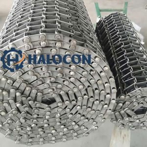 băng tải inox móng ngựa