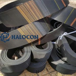 Dây curoa rãnh dọc