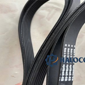 Dây curoa rãnh dọc