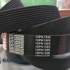 Dây curoa rãnh dọc