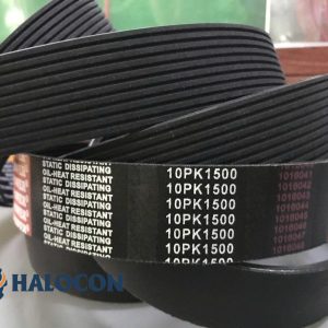 Dây curoa rãnh dọc