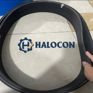 Dây curoa rãnh dọc