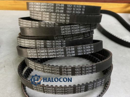 dây curoa hảng đức