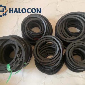 các hảng dây curoa