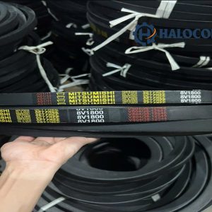 dây curoa hảng nhật